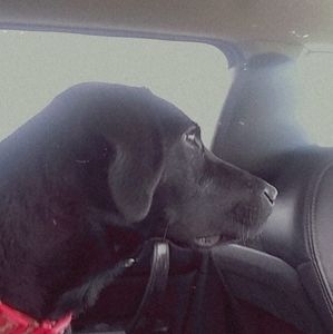 Meet your Posher, Maggie